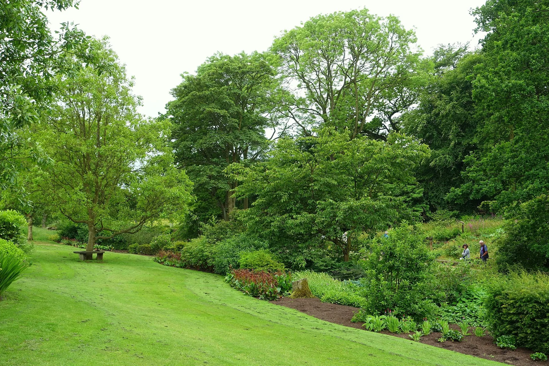 RHS Garden Harlow Carr
