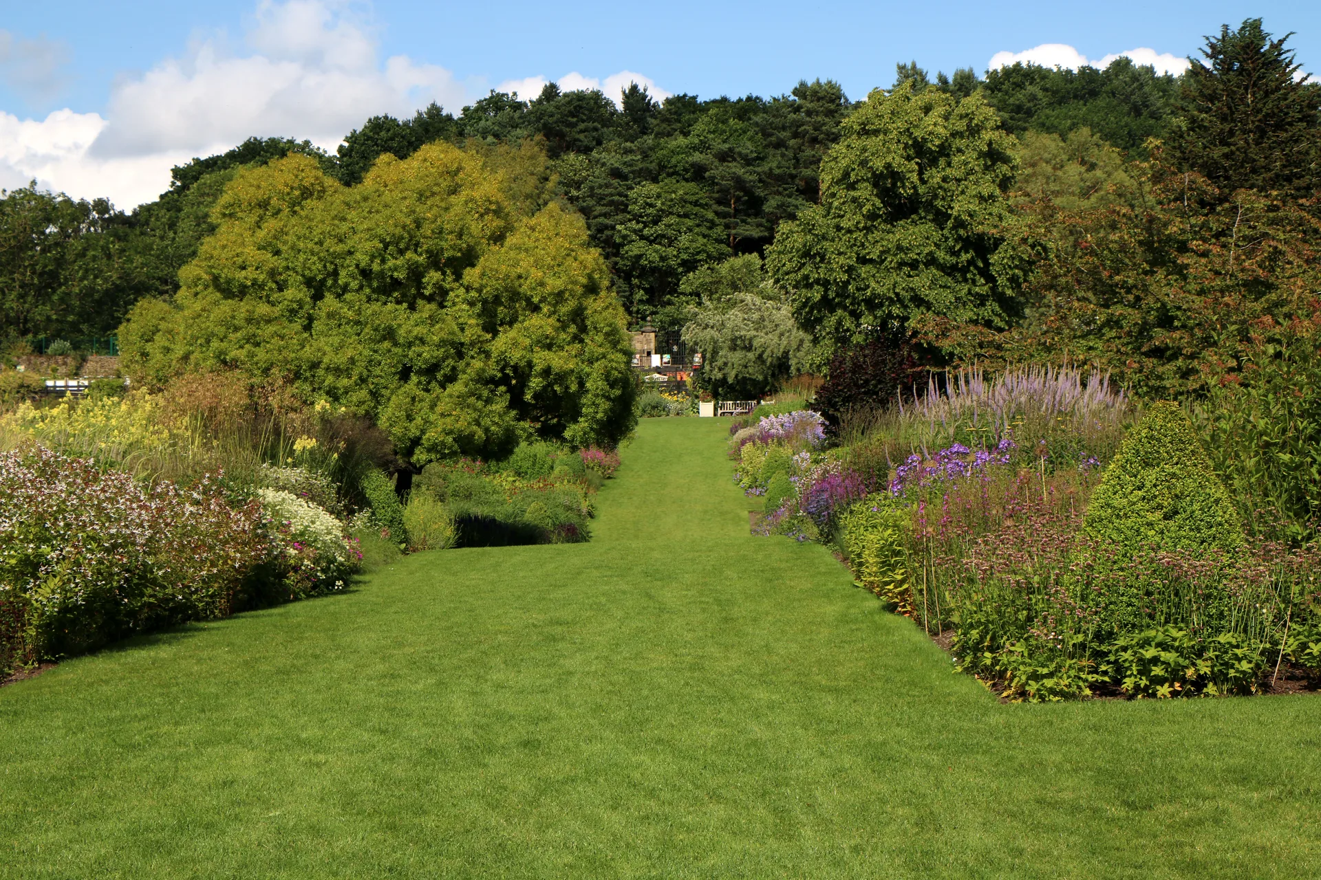 RHS Garden Harlow Carr: A Local's Guide to Visiting
