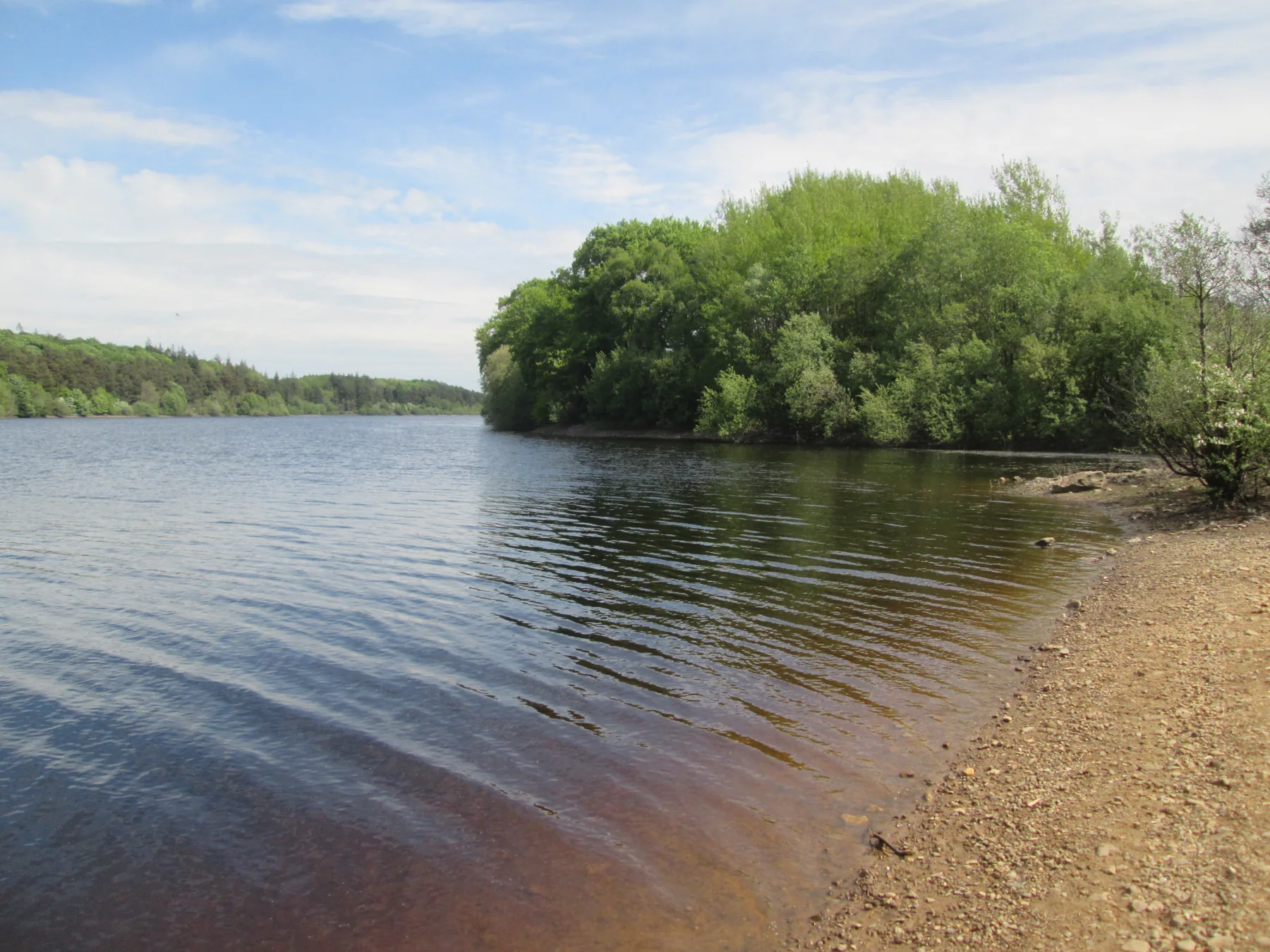 Swinsty and Fewston Reservoirs: A Local's Guide to Walking and Visiting